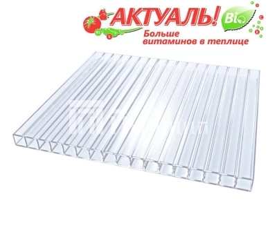 поликарб.актуаль