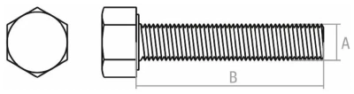 optimize (3)_11zon