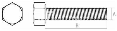 optimize (3)_11zon