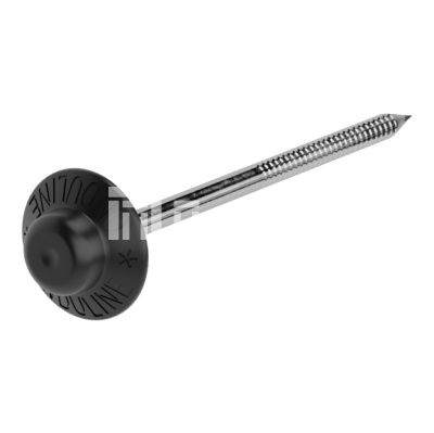 гвоздьчерн