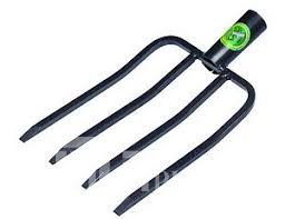 Без названия (6)