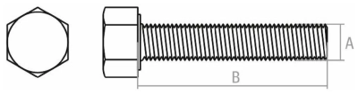 optimize (3)_11zon